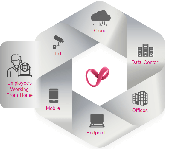 Check Point Infinity – Diagramm