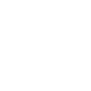 ¿Qué es la Seguridad de la Información (InfoSec)?