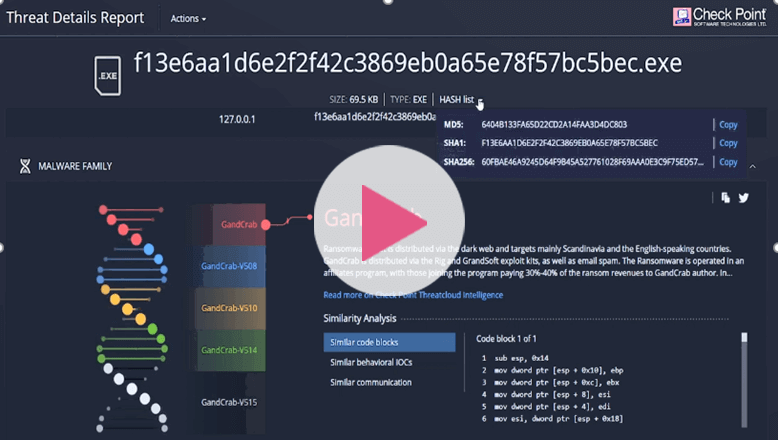 Miniature de la vidéo ADN du malware Sandblast