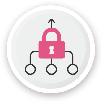 Security Consolidation icon
