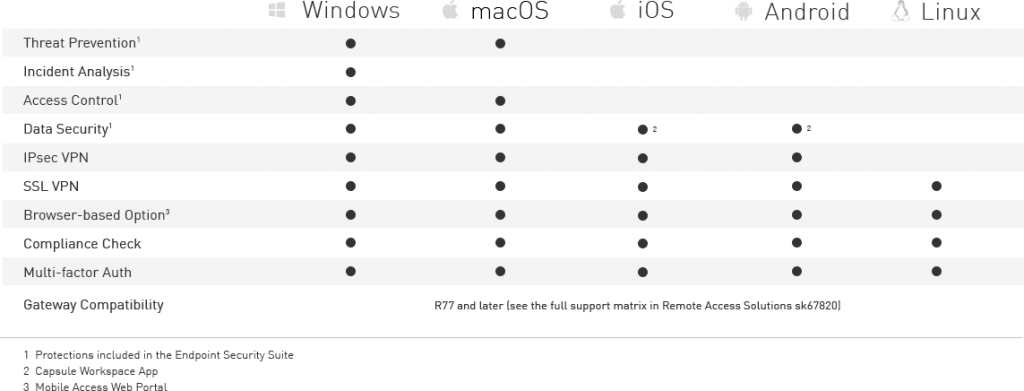 immagine Specifiche Accesso Remoto VPN 