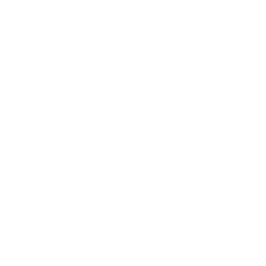 What is an SSL VPN?