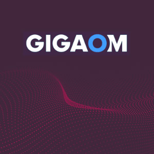 300x300 gigaom報告