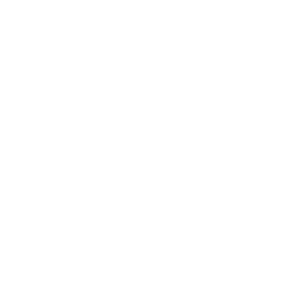 Layer 2 Tunnel Protocol (L2TP)