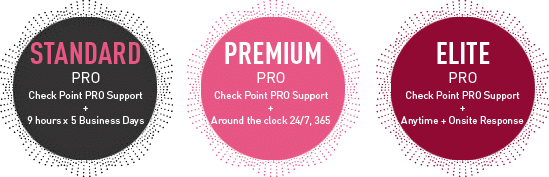 Check Point Pro 全新支援計劃圖表