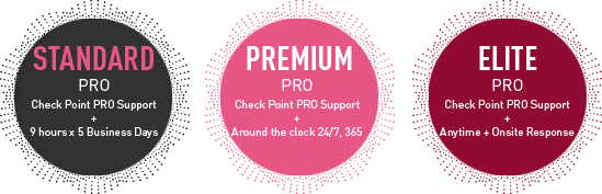 новая диаграмма с планами поддержки check point pro