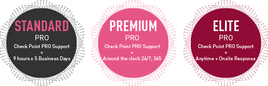 Diagramma dei piani di supporto di Check Point PRO