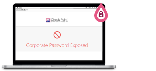 Password exposed screen capture
