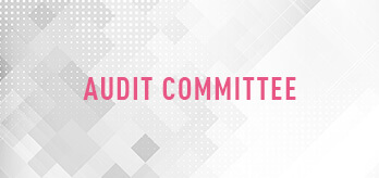 Corporate Governance Audit Committee
