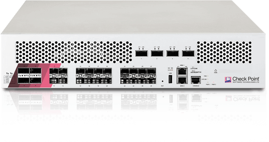 DDoS Protector Appliance-Bild