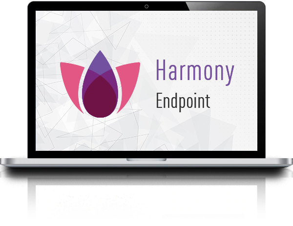 Harmony Endpoint – Bild schwebender Held