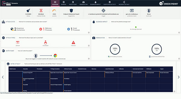 Auto-Generated Forensic Reports