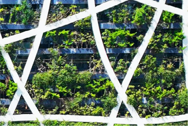 Check Point TLV Green Wall