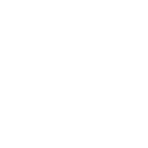 What is AI Security?