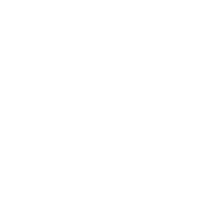 Cyber Security Solutions