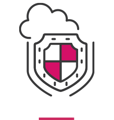 icon pink shield