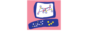 Next Generation Firewall: Check Point Logo