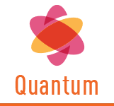 вертикальный логотип quantum