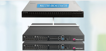 Maestro Hyperscale Network Security