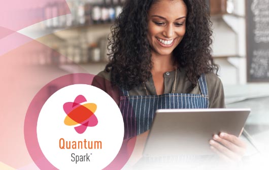 Quantum Spark - 小規模企業のためのベスト プラクティス トップ10