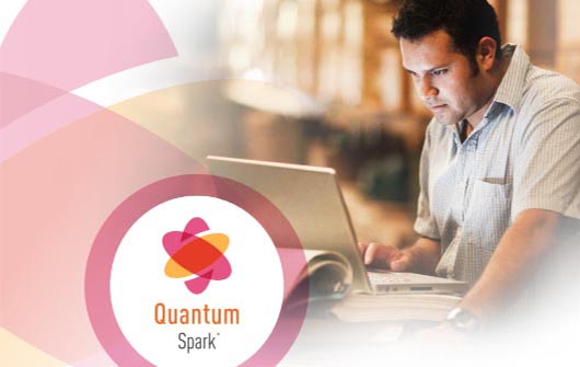 Quantum Spark — 3 основные кибератаки на предприятия малого бизнеса