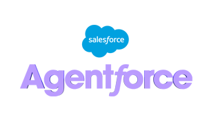 Salesforce agent
