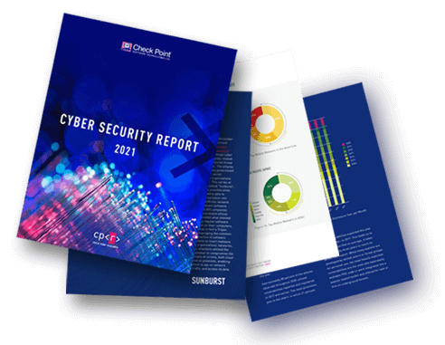 2021 Cyber Security Report