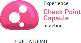 checkpoint capsule workspace checkpoint capsule workspace