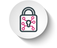 Secure icon