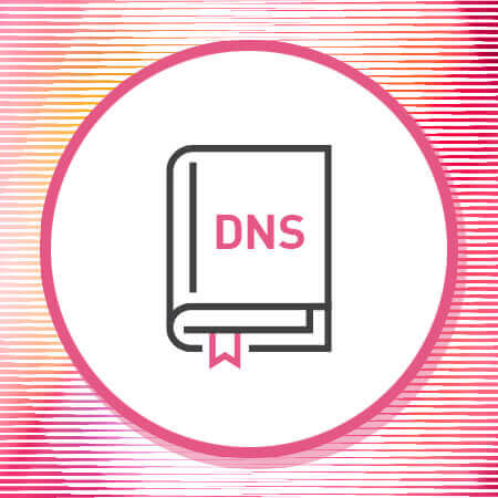 What is a DNS (Domain Name Server)